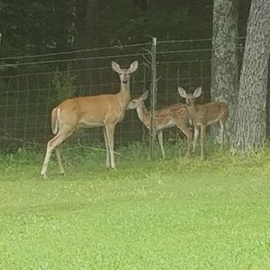 Meet your Posher, Roger